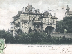 Dinant Chateau de la Haut