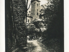 Cronberg altes Schloss