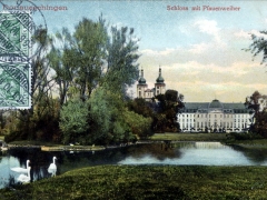 Donaueschingen Schloss mit Pfauenweiher