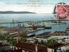 View of the Harbour with the British American and Russian Fleet