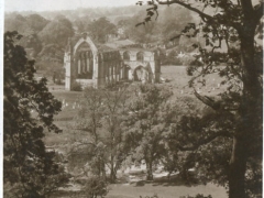 Bolton Abbey A Glimpse from the South East