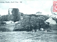 Pevensey Castle South View