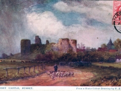 Pevensey Castle Sussex