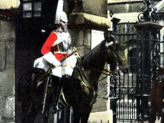 Second Life Guards