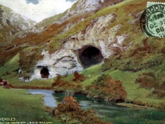 The Doveholes