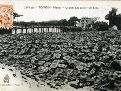 Tonkin Hanoi Le petit Lac couvert de Lotus