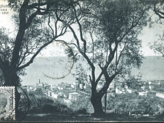 Bordighera Panorama fra gli ulivi