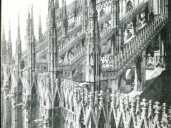 Milano Dettaglio del Duomo