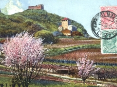 Obstblüte in Südtirol