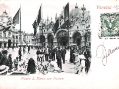 Venezia Piazza S Marco con Piccioni