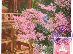 Kiyomizu-Temple-Cherry-Blossoms