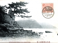 Ryukyujin Pine of Iso Kagoshima