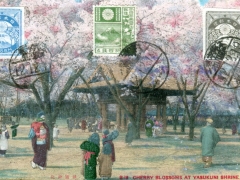 Tokyo-Cherry-Blossoms-at-Yasukini-Shrine