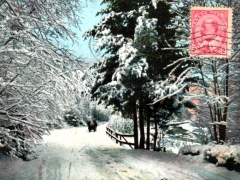 Adirondack Mts Bloomingdale Road in Winter