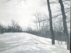 Montreal Winter Scene Mount Royal
