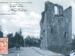 Une Ruine de l'ancien Chateau den houlen Zant
