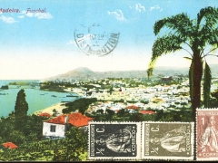 Funchal Ansicht