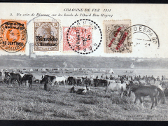 Colonne-de-Fez-1911-Un-coin-de-Bivouac-51727
