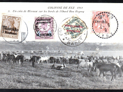 Colonne-de-Fez-1911-51721