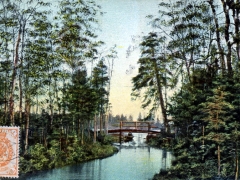 Perkjärvi