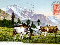 Alpenlandschaft und Jungfrau