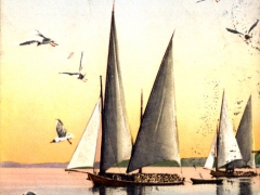 Barques et Mouettes du Leman