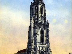 Bern das Münster
