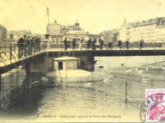 Geneve Etang des Cygnes et Pont des Bergues