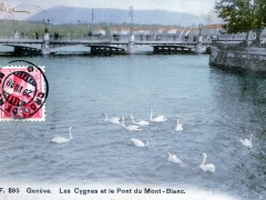 Geneve Les Cygnes et le Pont du Mont Blanc