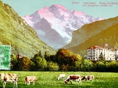 Interlaken Hotel Jungfraublick mit Jungfrau