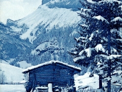 Kandersteg Winterlandschaft und Gellinhorn