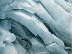 Ober Grindelwaldgletscher Gletschermündung