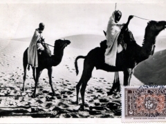 Meharistes traversant les Dunes