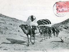 Sahara Algerien Caravane en marche