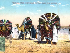 Sahara Des chameaux bondes avec leur guides