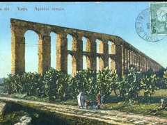 Tunis Aqueduc romain