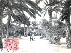 Tunis Jardin Avenue de Paris
