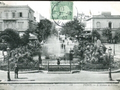 Tunis L'Avenue de France