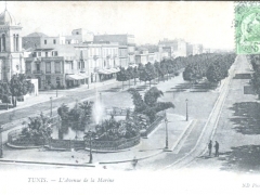 Tunis L'Avenue de la Marine