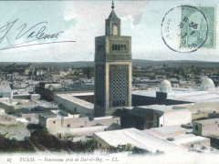 Tunis Panorama pris de Dar el Bey