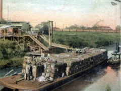 Houston Loading Cotton Barge on Buffalo Bayou