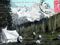 Mt Rainier Camping