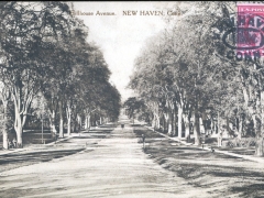 New Haven Hillhouse Avenue