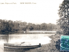 New Haven Lotus Lake Edgewood Park