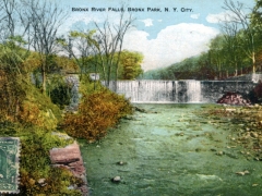 New York Bronx River Falls Bronx Park