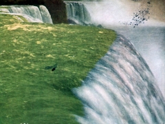 Niagara Brin of the American Falls