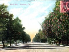 Pomona Holt Ave